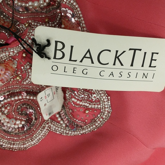 Pink Silk Designer Dress Beaded Bodice Evening Wear NWT Filenes Oleg Cassini - Picture 10 of 12